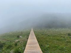 -白草畔自然风景区