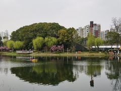 -新江湾城公园