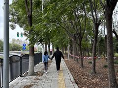 -嘉北郊野公园