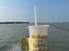 -猫的魔法密林(衣裳街店)
