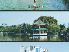 -广东花都湖国家湿地公园