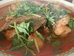 -新疆风味冷水鱼庄(友谊峰路店)