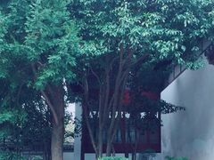 -秋霞圃