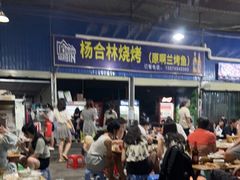 -杨合林啊兰烤鱼