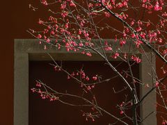 -乌山风景区