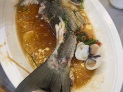 -鹭园酒家·四十年老字号