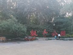 -北极寺公园