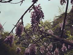 -郑和公园