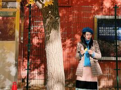 -三里屯东五街银杏大道