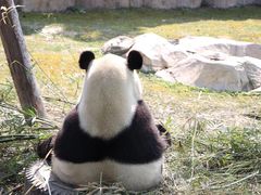 -上海野生动物园