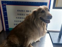 -心仪动物医院·牙专科·肿瘤·心脏科(西客站院)