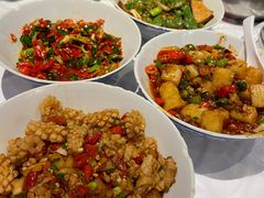 -壹盏灯(惠农店)
