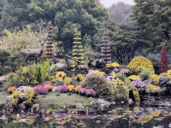 -杭州植物园