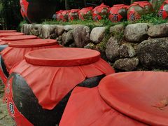 -姑婆山旅游区