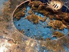 -蓝钻·国际美食海鲜自助百汇(西直门店)