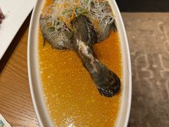 古法老虎斑-萬國春·中菜馆(颐和公馆店)