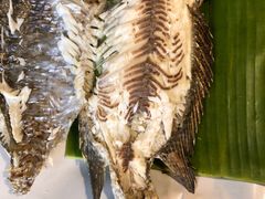 -卷心菜和避孕套餐厅(Pattaya)