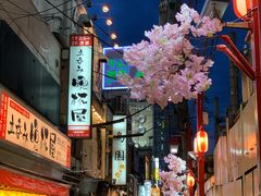 -鍋ぞう(新宿西口店)