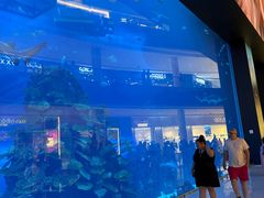-迪拜水族馆及水下动物园