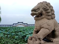-锦溪古镇