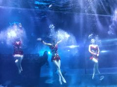 -邯郸海洋世界