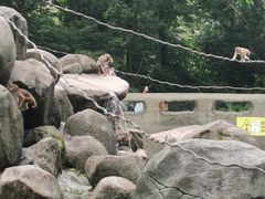 -广州海洋馆