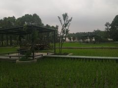 -洪湖家庭农场·团建·露营·会议