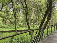 -西湖风景区-江洋畈生态公园