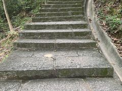 -火炉山森林公园