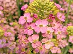 -中国天府农业博览园