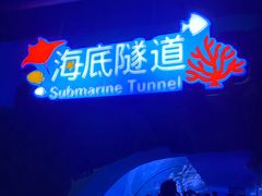-蓬莱欧乐堡海洋极地世界