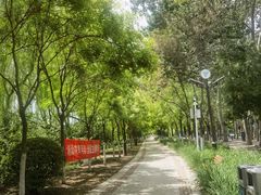 -南翠屏公园