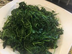 -新聚丰菜馆(太监弄店)