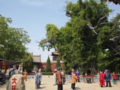 -大槐树寻根祭祖园