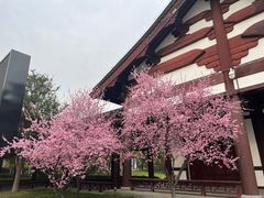 -狼山风景名胜区