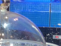 -佤家大院(南门店)