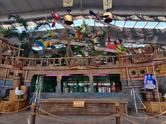 -南宫五洲植物乐园