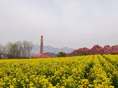 -西海岸生态观光园