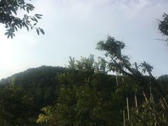 -楠柏弯休闲山庄(梨花溪店)