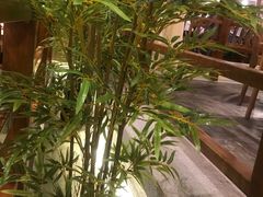 -陶然居·重庆菜(解放碑店)