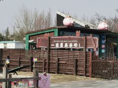 -田园东方蜜桃村的田野营地
