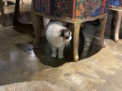 -咖法森林·咖啡  酒吧(天河店)