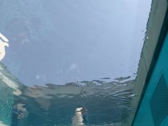 -金泽21世纪美术馆