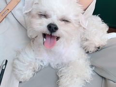 -伽利略剧本探案馆(国贸店)