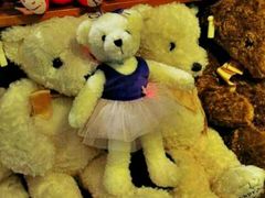 -济州岛泰迪熊博物馆