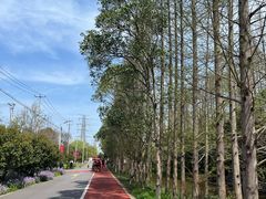 -上海长兴岛郊野公园