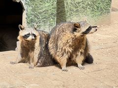 -青藏高原野生动物园