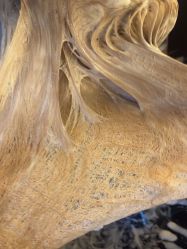 -型色沙龙 Color Salon