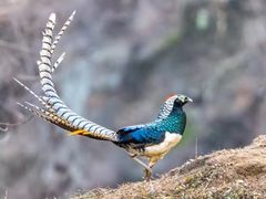 -沕沕水生态风景区