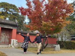 -北京植物园-展览温室